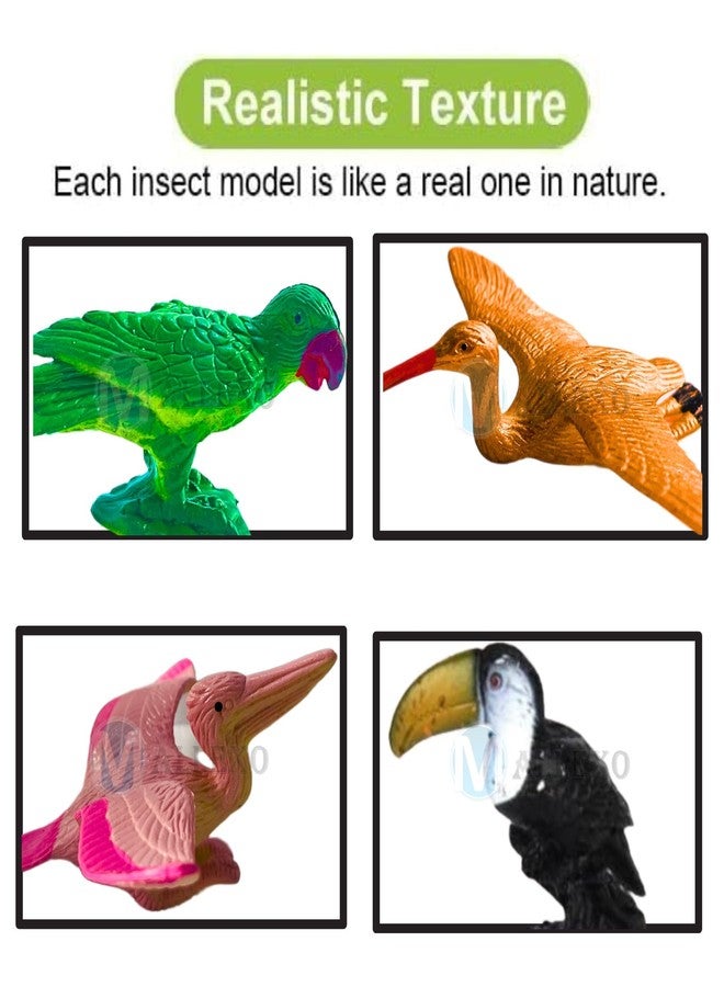 Mallexo مجموعة ألعاب طيور ماليكسو المصنوعة من مادة PVC للأطفال، مجسمات ثلاثية الأبعاد، 8 قطع، أنواع مختلفة من ألعاب العصافير المصغرة للأطفال، مجموعة ألعاب طيور المزرعة الناعمة، هدية عيد ميلاد (8 طيور) - Image 5